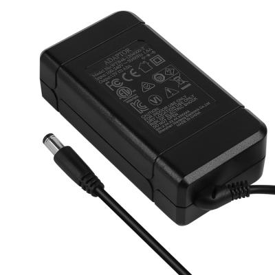 China 48 watt ac adapter 12v 4 amp 24v 2a power supply adapter dc adapter for digital amplifier board WTB48-1204000-T for sale