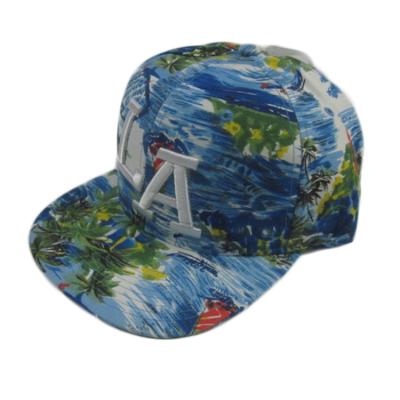 China COMMON Digital Embroidery Polyester Full Printing 3D Flat Bill Cap for sale