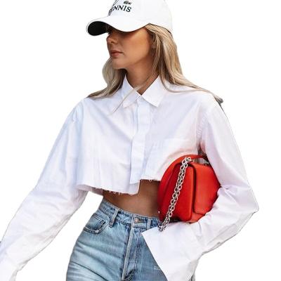 China 2022 summer new QUICK DRY fashion 100% cotton T-shirt net-a-porter casual crop tops for women women's clothing women's T-shirts for sale