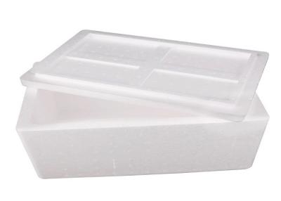 China Styrofoam Container Cold Chain Packaging 11.8