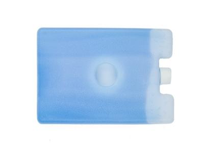 China Plastic Ice Packs HDPE Hard Shell Freezer Fresh Cool Coolers Cold Chain For COVID-19 for sale