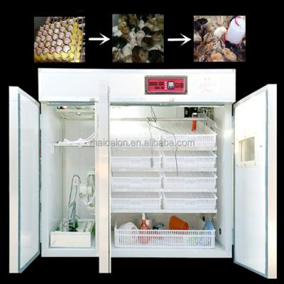 China Mini Egg Incubator Fully Automatic 176 Pcs Egg Incubator Home Use Digital Full Automatic Egg Incubator Egg Incubator Sale for sale