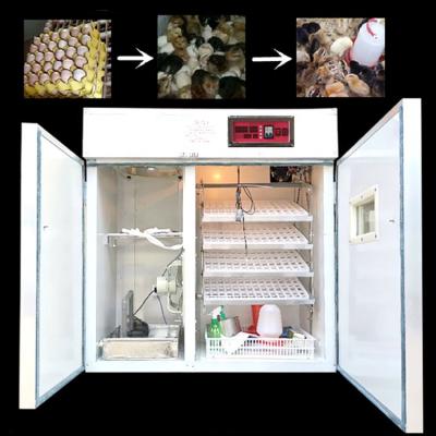 China Full Automatic Digital Egg Incubator Making Egg Incubator/Egg Incubator Supplier/Automatic Egg Incubator Controller for sale