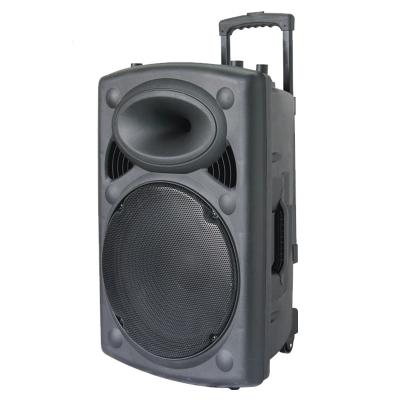 China No Karaoke Party Portable Rechargeable Speaker With USB 12 Inch Woofer Trolley Speaker for sale