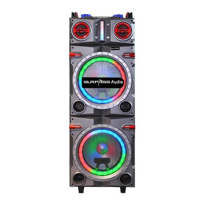 China Outdoor Karaoke Disco Party 12inch Double Case Speaker Audio/USB/FM Radio Portable Yes Wood Handle Radio for sale