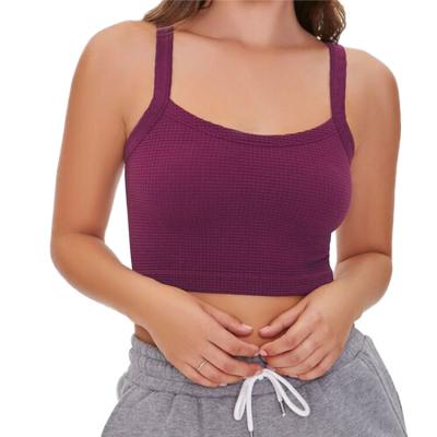 China Fashion QUICK DRY Comfortable Spandex Nylon Women Tops Daily Wear Crop Seamless Breathable Knitted Top for sale