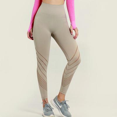 China Antibacterial Custom Seamless Spandex Compression Yoga Pants Women for sale