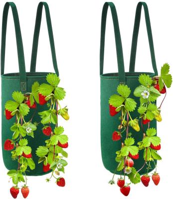 China Garden Grow Bag Hanging Strawberry Planter Felt Upside Down Grow Bag With Holes for sale