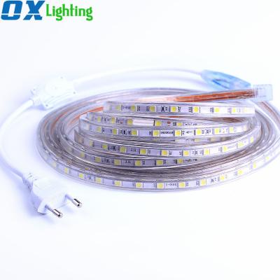 China LANDSCAPE 1M/2M/3M/5M/10M AC220v led strip white blue green red led strip 5050 220v for sale