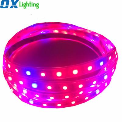 China OXLIGHTING Residential Led Plant Grow Light Strip 12 Volt Led Grow Strip Lighting 5050 Led Plant for sale