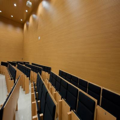 China TBC Linear Wooden Veneer Acoustic Panel 14/2mm For School Conference Hall for sale