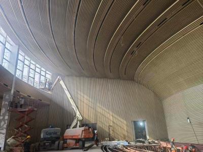 China Museum 3D-Radius Gekrümmte Metalldecke Baffle Schalldämmung Holzkorn Wand Akustikplatten zu verkaufen