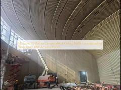 Museum 3D Radius Curved Metal Ceiling Baffle Soundproofing Woodgrain Wall Acoustic Panels