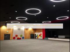 4‘x8‘ Auditorium Oak Veneer Timber Microperforated Sound Absorbing Wall Acoustic Panels