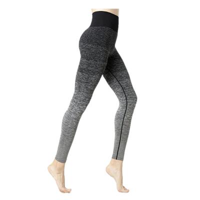 China High Quality Breathable Women Fitness Seamless Gaiters for sale