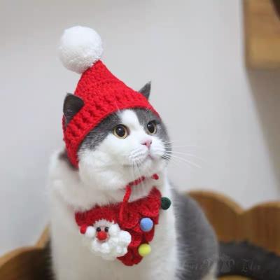 China Cotton Blends Furry Christmas Cat Ear Women Knitted Beanie Hats for sale