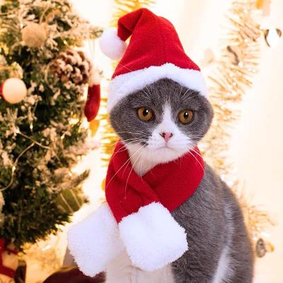 China Santa Funny Cat Hat Cotton Blends for sale