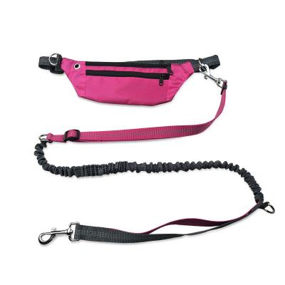 China Multifunctional Nylon Dog Leash Supplies Pet Leash Double - Led Jogging Dog Leash With Dogs for sale