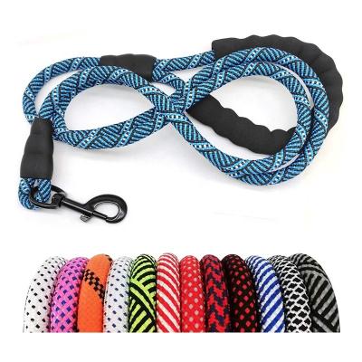 China Multi Color Padded Dog Leash Nylon Climbing Dog Rope Thoughtful Leash for sale