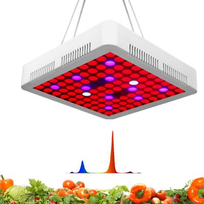 China Nursery Period 100W Full Spectrum Grow Light Led Horticulture Plant Grow Lamp For Indoor Plant for sale