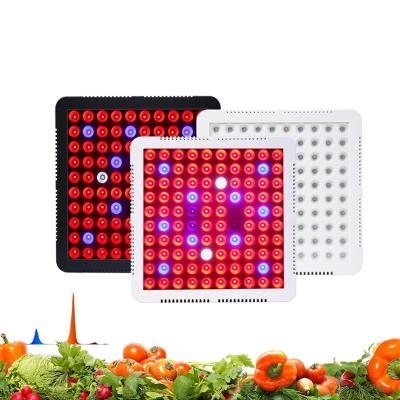 China Indoor Outdoor Nursery Full Spectrum 100W Flower Seeding Tent LED Lamp Grow Light For Plants for sale