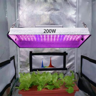 China Seed Starting 2021 Top Sale Horticulture Full Spectrum Quanta For Garden Tent Greenhouse 200W Led To Grow Light for sale