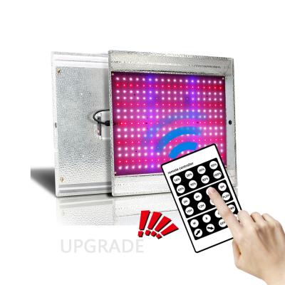 China Seed Starting 200W LED MeanWell Driver Full Spectrum Grow Light For Hydroponics for sale