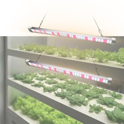 China Save Plant Tissue Culture T12 Led Grow Light Hydroponics for sale