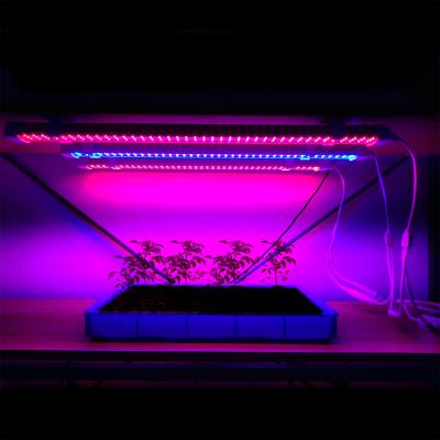 China Seed Starting Full Spectrum LED Grow To Bar High Power 60cm Light Tube For Plants Full-Cycle Growing for sale