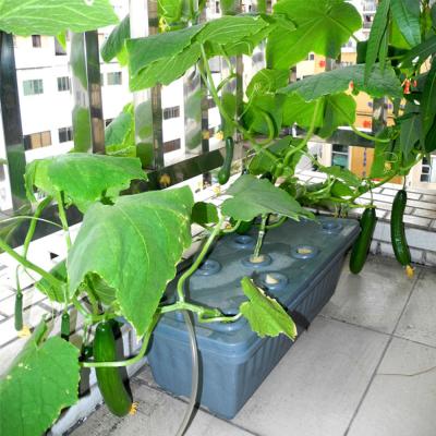 China Eco-Friendly Hydroponic Planting System Pot Diy Hydroponic Flower Grow Box For Planting for sale