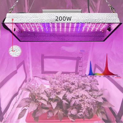 China Seed starting high efficient 200w Quantum led grow light with wholesale price for sale