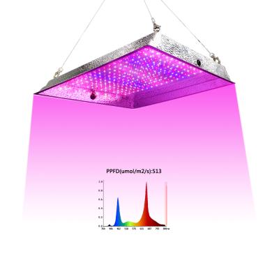 China Seed Starting Full Spectrum 200w Quantum Dish Plant Light Led Indoor Grow Plant Lamp for sale