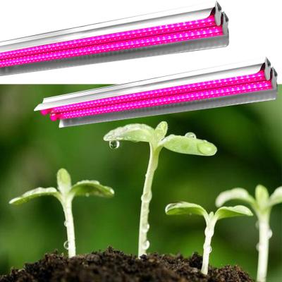 China Seed starting led strip bar to grow light bar with 1000w 200w 100w custom watt bar led to grow light for sale