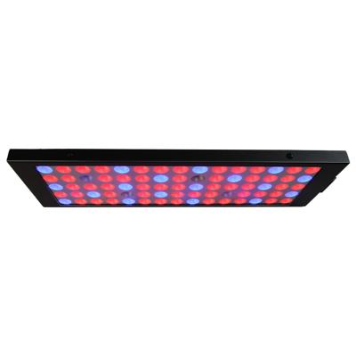 China Seed Starting New Wholesale Led To Grow Lights 10W Aluminum Led Plant Indoor Grow Light for sale