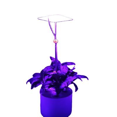 China FLOWER Plant direct sale 5W small plant growth lamp, suitable for desktop plant succulent cultivation for sale