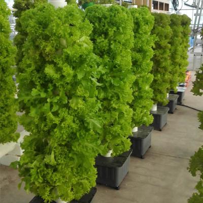 China New Aeroponic Greenhouse Agricultural Rotary Tower Garden Easy Installed Vertical Hydroponic System for sale