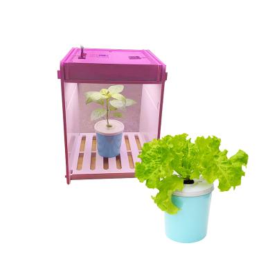 China Modern Indoor Office Round Plant Flower Plant Hydroponic Clear Plastic Pots for sale