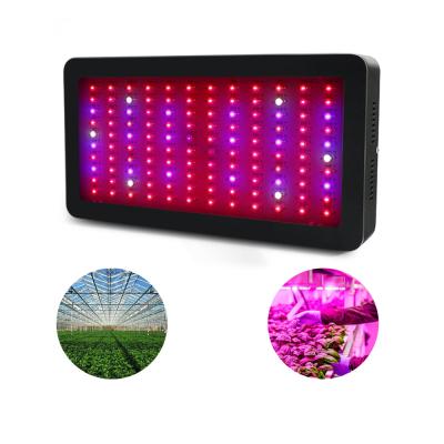 China Easy Install 2000W LED Plant Growing Lights Full Spectrum Indoor Plants Veg Seedling and Flower Plant Growing Lamps for sale