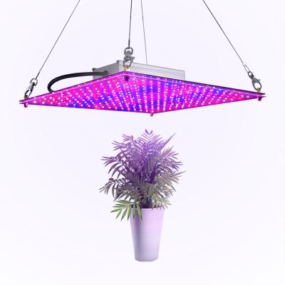 China Eco-Friendly LED Grow Lights Growing Lights Indoor Hydroponic Greenhouse Seeding Veg Light Full and Flower Dimmable Spectrum for sale