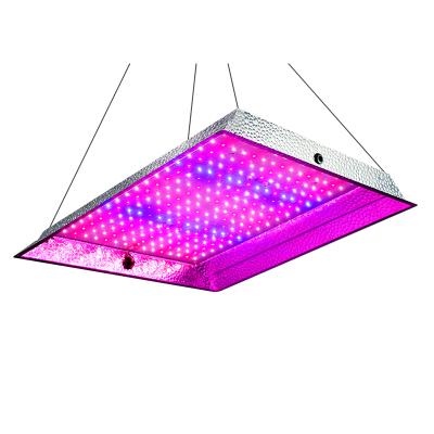 China Eco-friendly Indoor/Outdoor Plant Grow Light Full Spectrum Grow Lamp for Hydroponics, Greenhouse, Seedling, Flowering Fruiting for sale