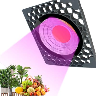 China Seed Starting IP65 Full Spectrum Flower&Veg Grow Light COB Growing Lamp for Indoor Growing, Greenhouse, Grow Tent, Hydroponics for sale