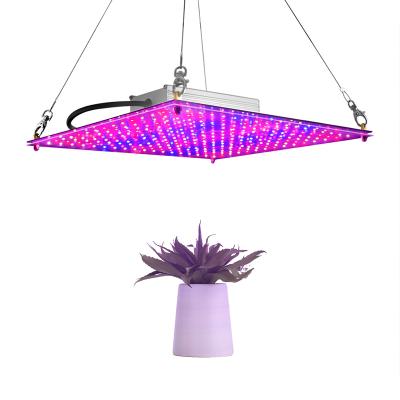 China Eco-friendly LED Plant Grow Light For Indoor Plants Greenhouse Succulents Hydroponics Veg And Flower Plant Growing Lamp for sale