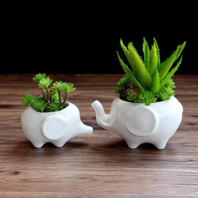 China Modern Desktop Ornaments Potted Succulents Plants Elephant Ceramic Gardening Flower Pots for sale