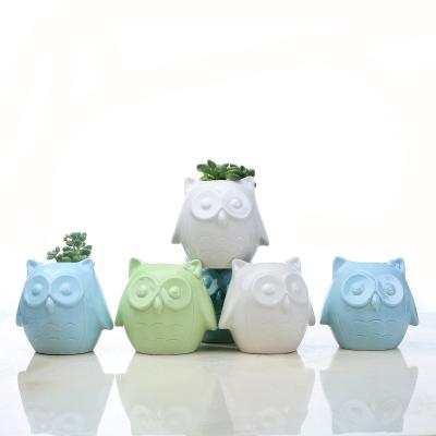 China Modern Flower Pot from Owl Planters Pots Glazed Ceramic Garden Mini Succulent Plant Pot for sale