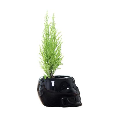 China Modern small shape flower pots balcony ceramic flower pots for sale for sale