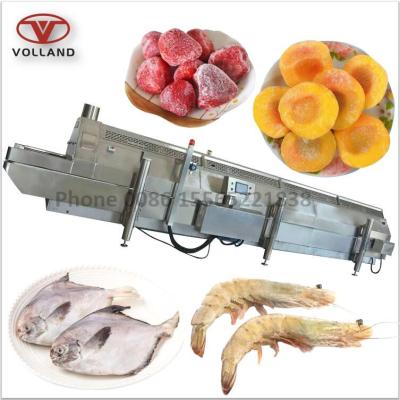 China food & Beverage Factory Peaches Liquid Nitrogen Freezing Machine Fruit Iqf Yellow Tunnel Freezer / Fish Meat for sale