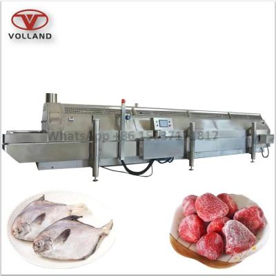 China food & beverage factory seafood liquid nitrogen freezer/liquid nitrogen instant salmon freezing machine for sale