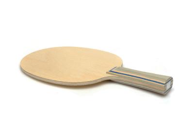 China Arylate Carbon Ayous Professional Ping Pong Paddles Performance Control Racket for sale