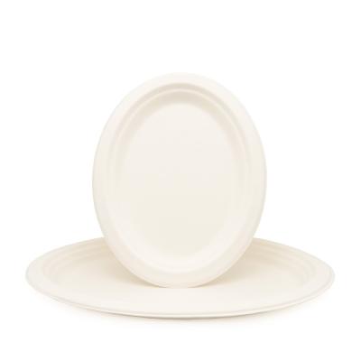 China Good quality disposable custom bagasse dish paper pizza biodegradable paper plate for sale