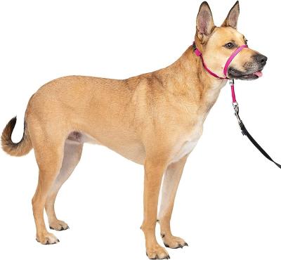 China Sustainable Pet Supplies Amazon Dog Harness, Hot Selling Collars & Leashes, No Pull Dog Harness for sale